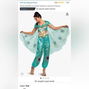 Women’s Disney Princess Jasmine Costume